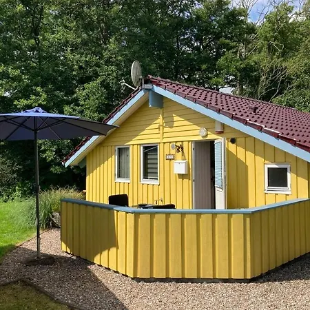 Kleine Gelbe *